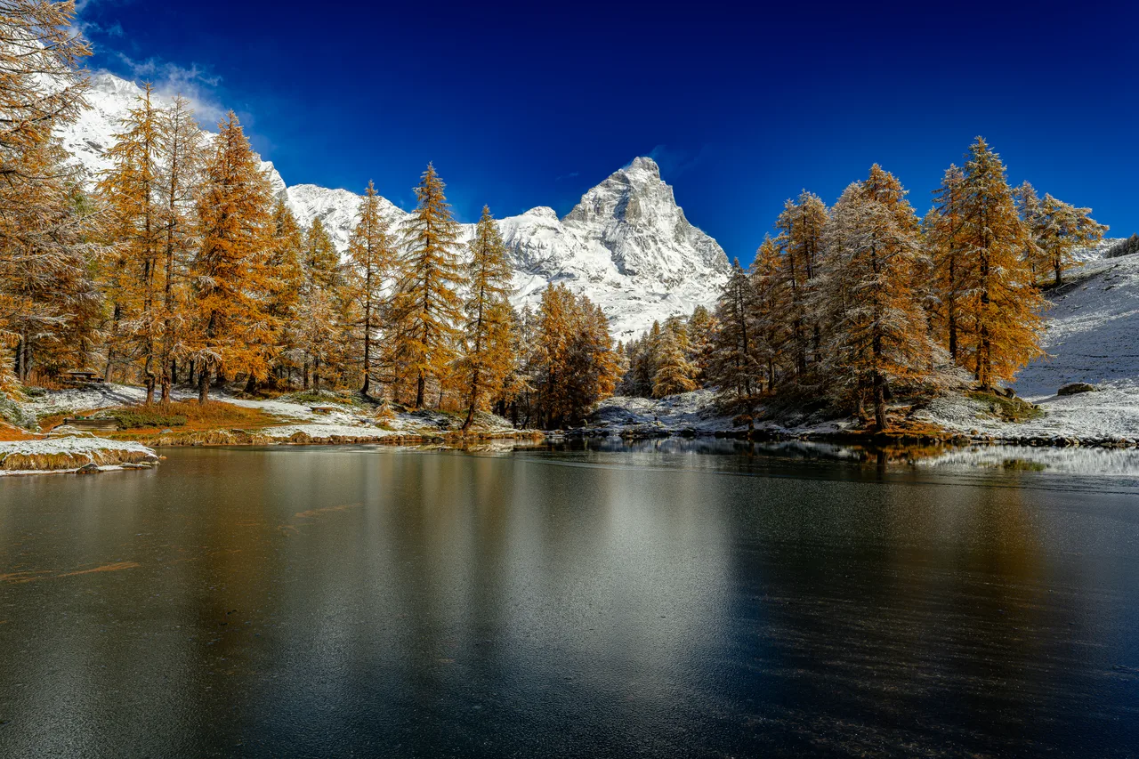 An alpine lake among autumn larches, snowy peaks mirrored in the still water.