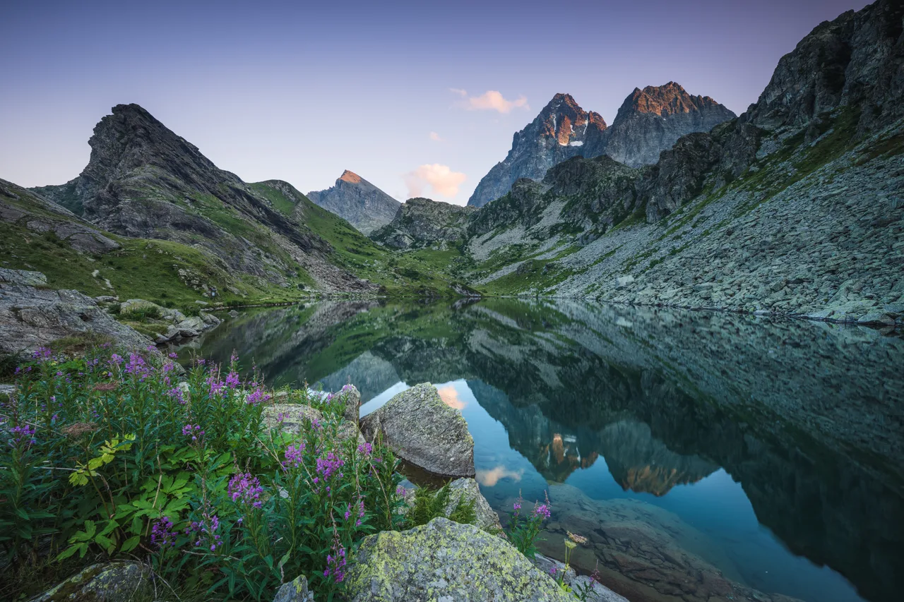 A still alpine lake mirrors a rocky ridge; rocks and willowherb flowers in the foreground.